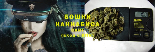 a pvp Болотное