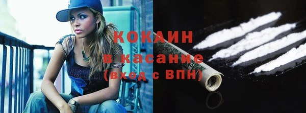 тгк Новозыбков