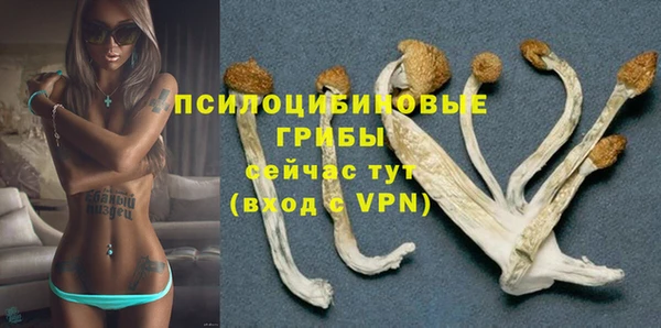 тгк Новозыбков