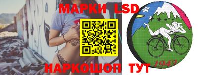 амф Обнинск