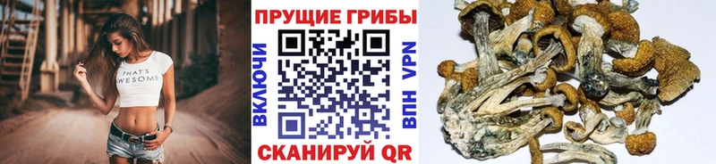 Галлюциногенные грибы мухоморы  цена   Партизанск 