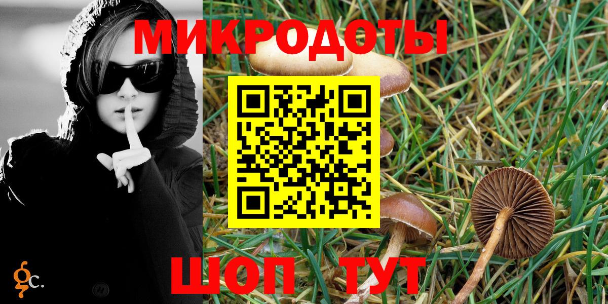 Галлюциногенные грибы GOLDEN TEACHER  Вход с VPN  Партизанск 